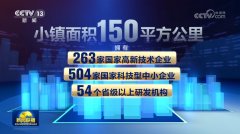 【一线调研】织进面料里的子”