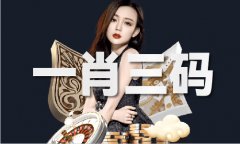 澳门六宝典材料免费V2