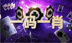 配码一配一输了不消还
